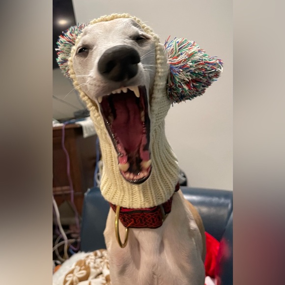 Meet your Posher, Denise - Picture 4 of 5